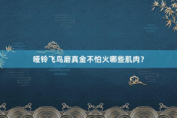 哑铃飞鸟磨真金不怕火哪些肌肉？